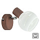 Spot lampa sa prekidačem braon 40W 1xE14 M150310 P