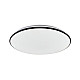 LED plafonjera 24,48W, promenljiva boja svetla VESTA 663 VESTA663
