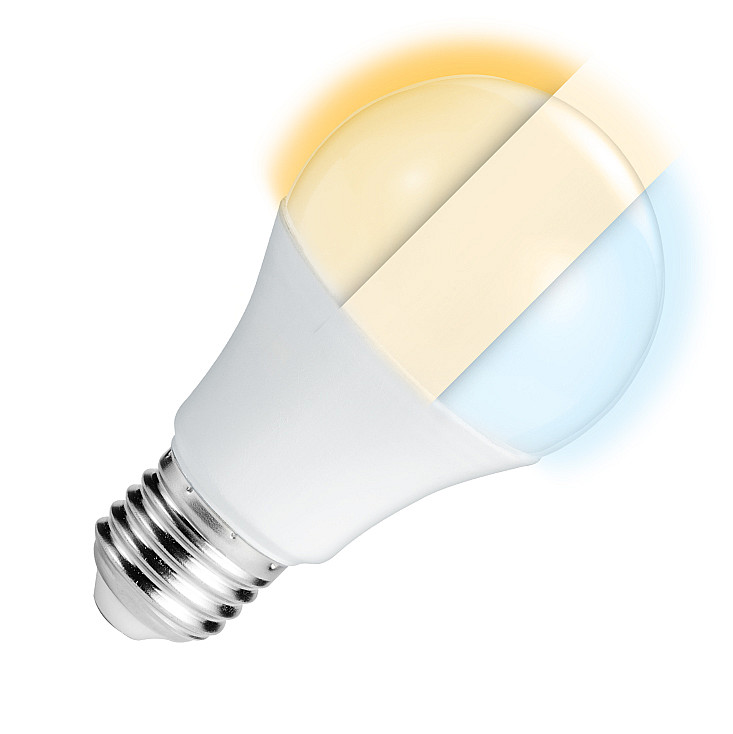 LED sijalica sa promenljivom bojom svetla 10W LS-A60-W-E27/10-CCT