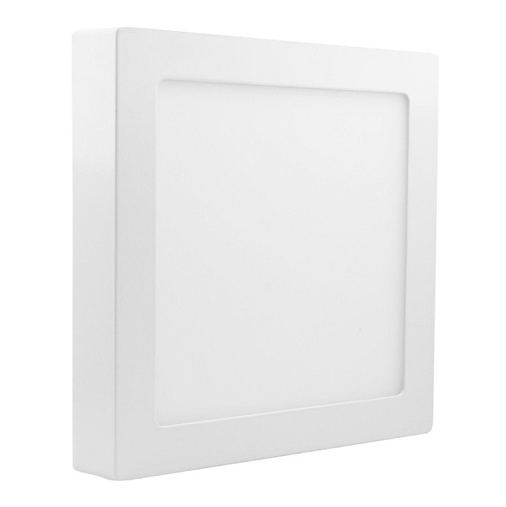 LED plafonjera 24W dnevno svetlo LNP-P24/W