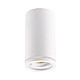 Spot lampa 1xGU10 E201899