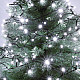 Lampice za jelku sa 50 hladno belih LED dioda KII50/WH