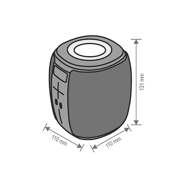 Bluetooth zvučnik 5W BT1000
