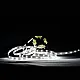 SMD LED traka 4.8W/1m 12V 6500K IP20 5m kotur 60 LED/1m blister MLR-2835-60