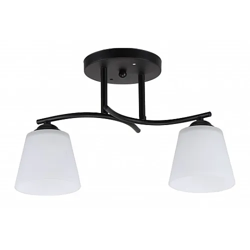 Luster crni Max.60W 220~240V 2xE27 M11028-2