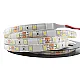 SMD LED traka 4.8W/1m 12V 6500K IP20 5m kotur 60 LED/1m MLR-4040-60