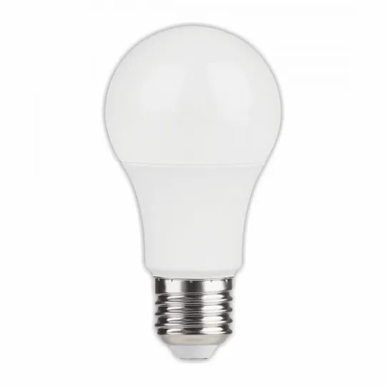 LED ECO sijalica AC/DC E27 12V/24V/36V 12W A60 6500K