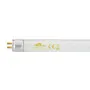 Fluo cev 6W T5 za lampu za uništavanje štetnih insekata UV-A