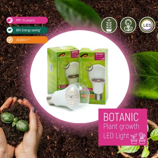 LED ECO sijalica Plant growth 9W A60 E27 PG