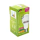 LED ECO sijalica Plant growth 9W A60 E27 PG