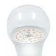 LED ECO sijalica Plant growth 9W A60 E27 PG