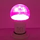 LED ECO sijalica Plant growth 9W A60 E27 PG