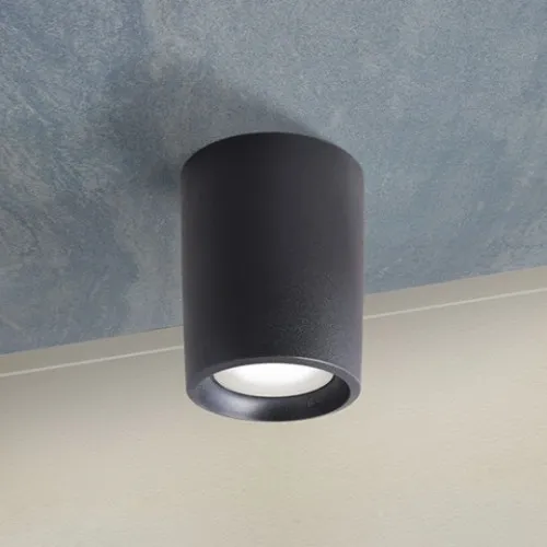 LIVIA 180 CCT crna spoljna plafonska okrugla lampa IP44 1xE27 power LED 15W 3000K/4000K-sijalica uključena uz proizvod 4A9.000.000.AXR1K Fumagalli