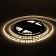 SMD LED traka 7.5W/1m 12V 4000K IP65 5m kotur 120 LED/1m MLD-2835-120-ML