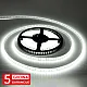 SMD LED traka 10W/1m 12V 6500K IP65 5m kotur 120 LED/1m 5Y MLO-2835-120-ML