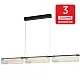 Visilica crna LED 24W 3000K peščano + staklo 3Y M10950