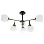 Luster zlatni Max.60W 220~240V crno- 6xE27 M11090-6 Mitea Lighting