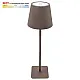 Stona lampa braon 2W IP20 LED TOUCH dimmable + 3CCT 3000-6000K DC5V LED M6002-BR Mitea Lighting