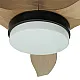 Ventilator plafonski 35W sa svetlom LED CCT 20W fi132cm sa daljinskim upravljačem MV5011-CWD