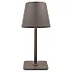 Stona lampa braon 2W IP20 LED TOUCH dimmable + 3CCT 3000-6000K DC5V LED M6002-BR Mitea Lighting