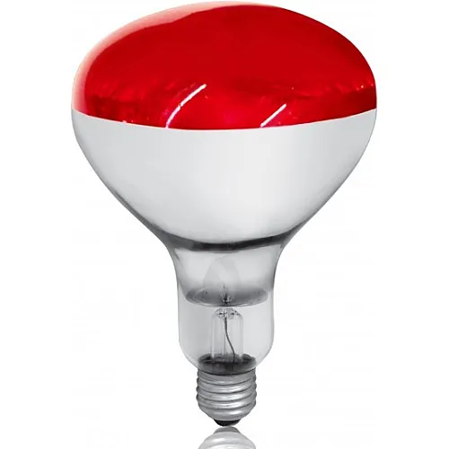 Infra-crvena RUBIN sijalica (kvočka) E27 150W R125 240V