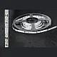 SMD LED traka 4.8W/1m 12V 6500K IP20 5m kotur 60 LED/1m M-F3528-60