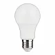 LED ECO sijalica E27 12W A60 6500K 220-240V