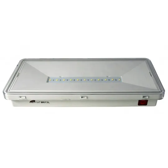 Punjiva lampa 11 LED 2W 6500K bela IP65 M613L