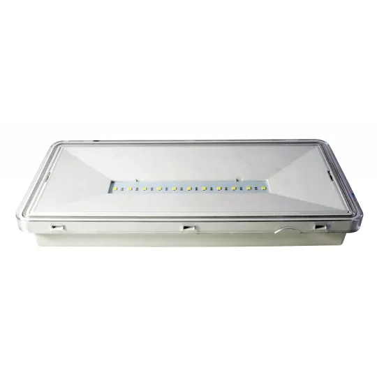 Punjiva lampa 11 LED 2W 6500K bela IP65 M613L