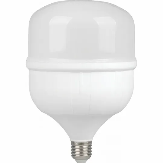 LED ECO sijalica E27 50W T7 6500K 138x206mm 220-240V