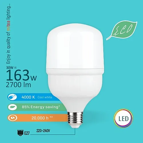 LED sijalica E27 30W T7 4000K 100x171mm LED ECO 220-240V