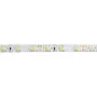 SMD LED traka 4.8W/1m 12V 3000K IP68 5m kotur 60 LED/1m M-C3528