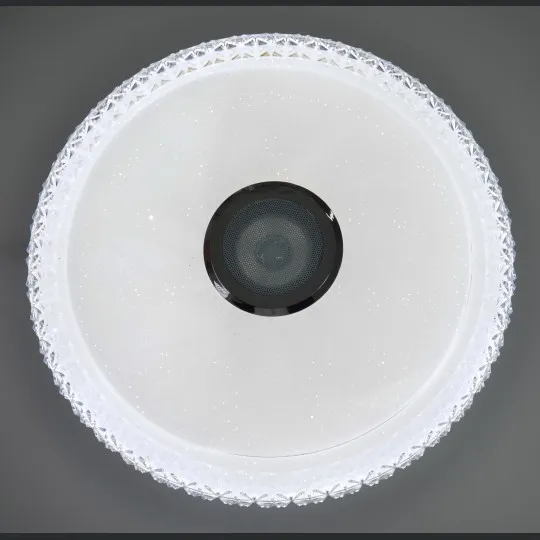 LED plafonjera bela 2x24W 180~260V WRGB fi390mm SMD sa zvučnikom 5W, bluetooth, Android/iOS APP iLink (muzička plafonjera) smart M205440-BT