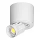 LED nadgradna lampa bela 2 u 1 3000/4000/6500K AD-OD-6630WL/CCT Adviti