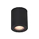 Plafonska lampa 1xGU10 crna IP65