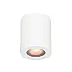 Plafonska lampa 1xGU10 bela IP65