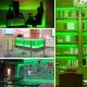 LED traka zelena 60LED/m IP20 LTR2835/60G-12E