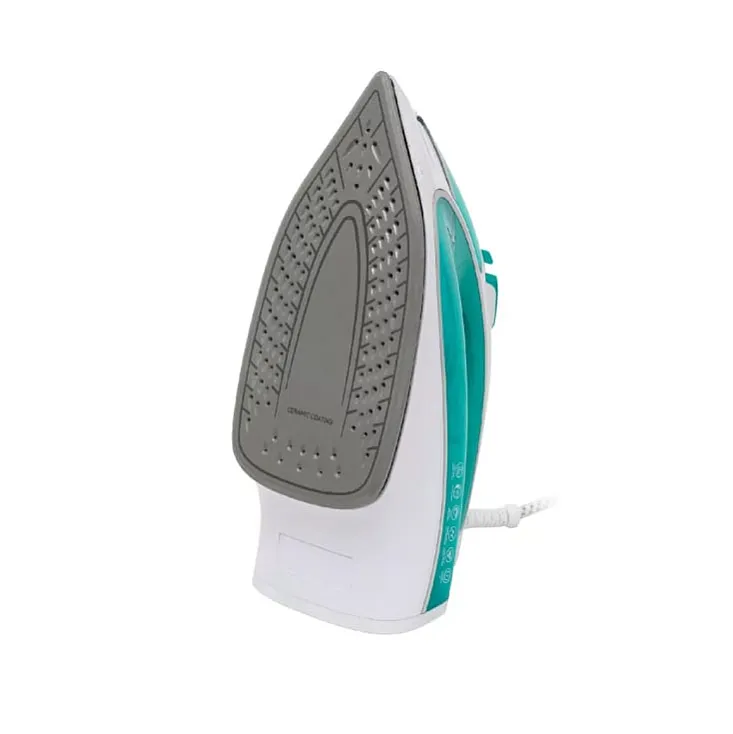 Home pegla na paru 2600W HGV26