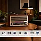 Retro Bluetooth radio 6679BT/B NS-6679BT/B