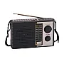 Solarni prenosni Bluetooth radio prijemnik 5510S NS-5510S