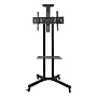 Podni TV nosač sa točkićima, 32-70", 50kg, 1500mm LCDH-TVC15