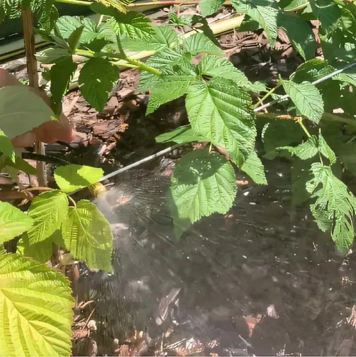 Set za vodenu maglu 12m