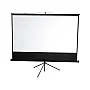 Havit platno za projektor 100" PS100