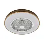LED plafonjera sa ventilatorom YL-FAN-G001/D