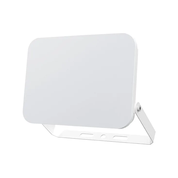 Braytron CCT LED reflektor 50W BT60-55080