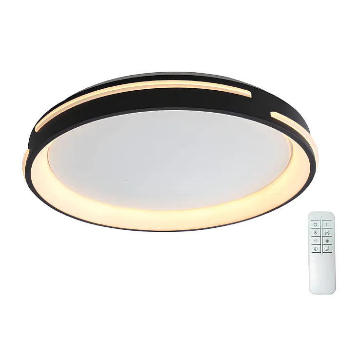 LED plafonjera 48W, promenljiva boja svetla VESTA655