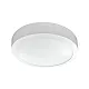 LED plafonjera 24W, promenljiva boja svetla KNC5-24W