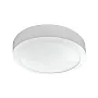 LED plafonjera 24W, promenljiva boja svetla KNC5-24W