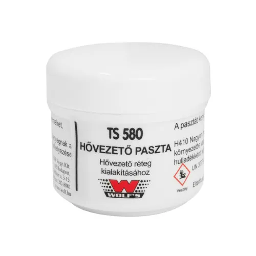 Termo pasta 25g TS580