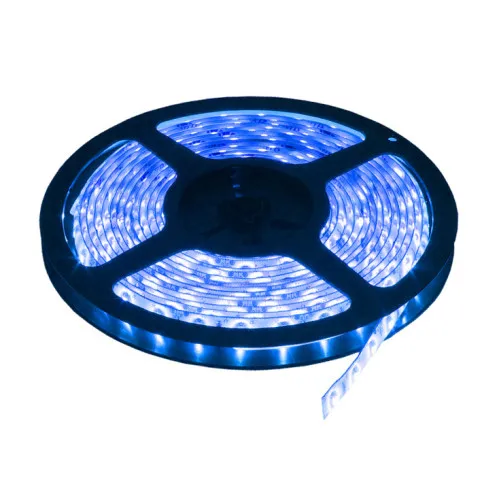 LED traka plava 60 LED / 1m LTR2835/60B-12S